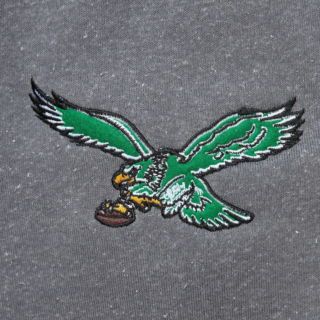 NFL Philadelphia Eagles Vintage Logo Snow Washed Fleece Pullover Hoodie