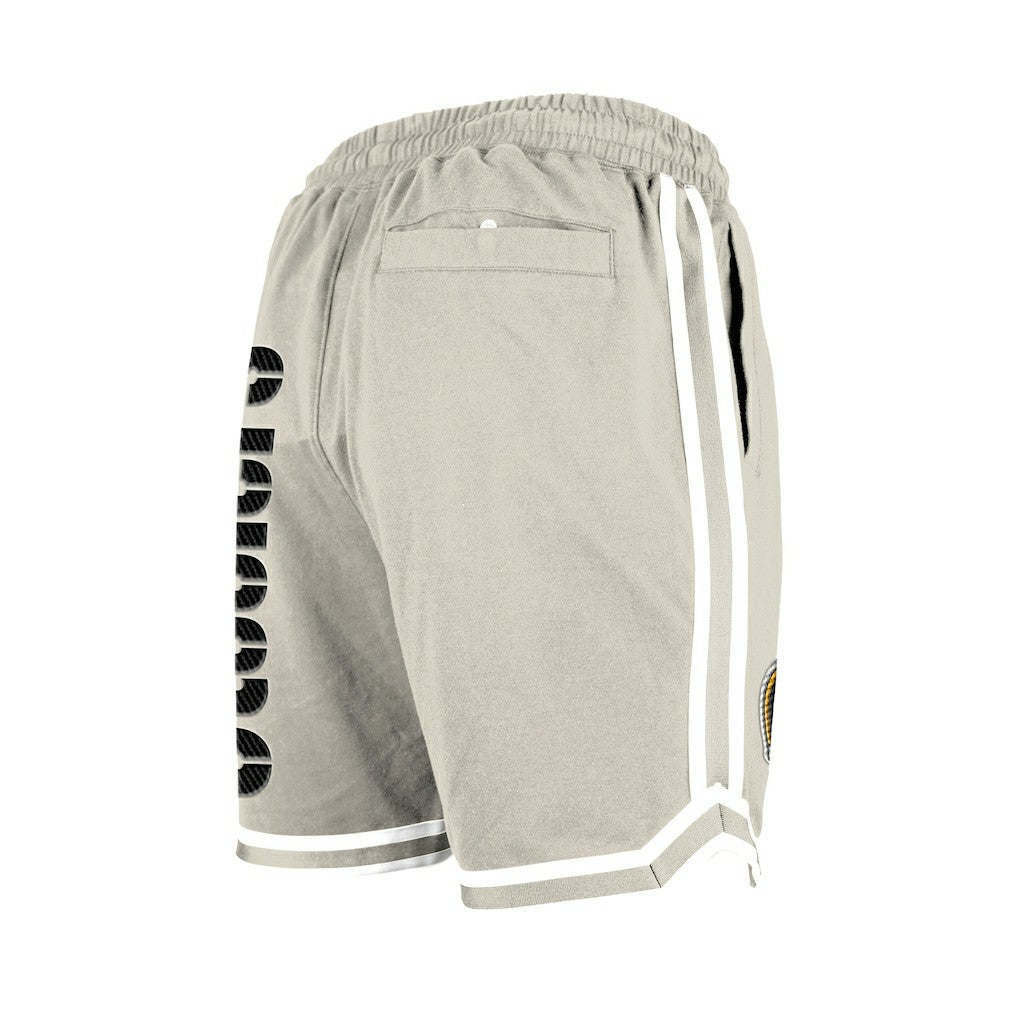 NFL Pittsburgh Steelers Stone Multi Patch Shorts