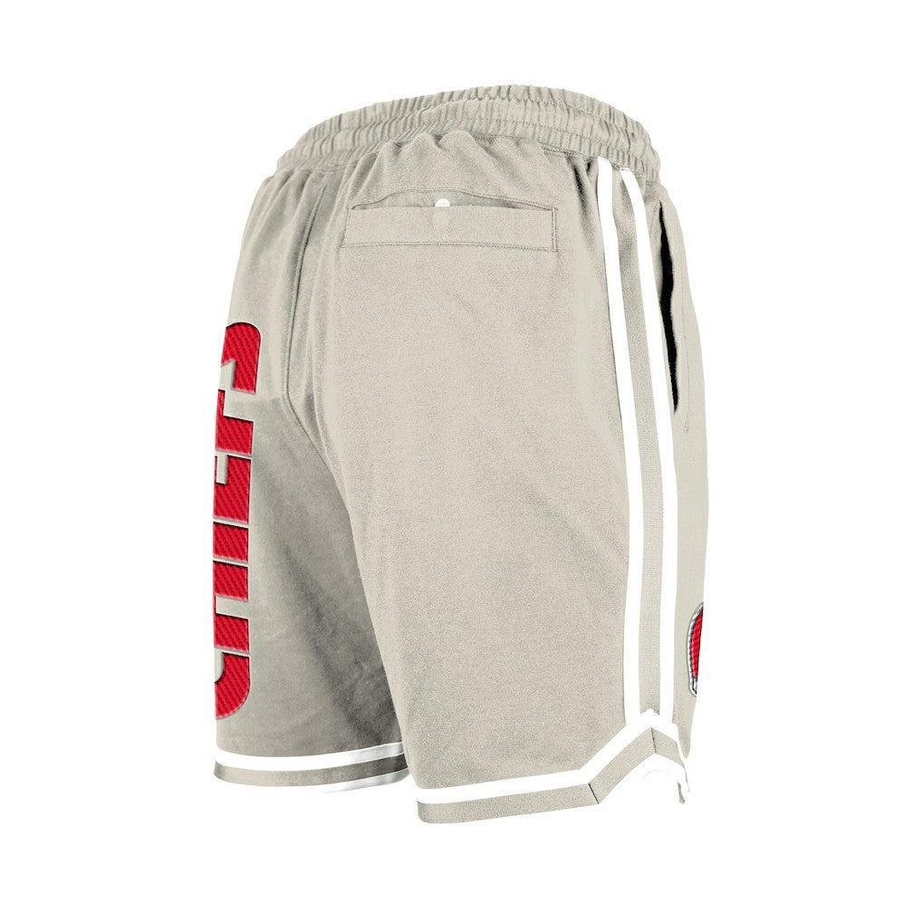 NFL Kansas City Chiefs Stone Multi Patch Shorts