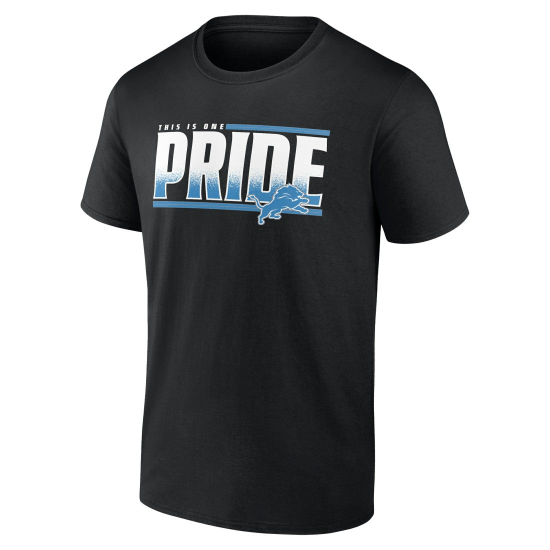 NFL Detroit Lions One Pride T-Shirt