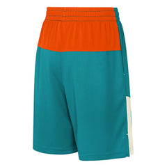 NFL Miami Dolphins Youth Fandemonium Mesh Shorts