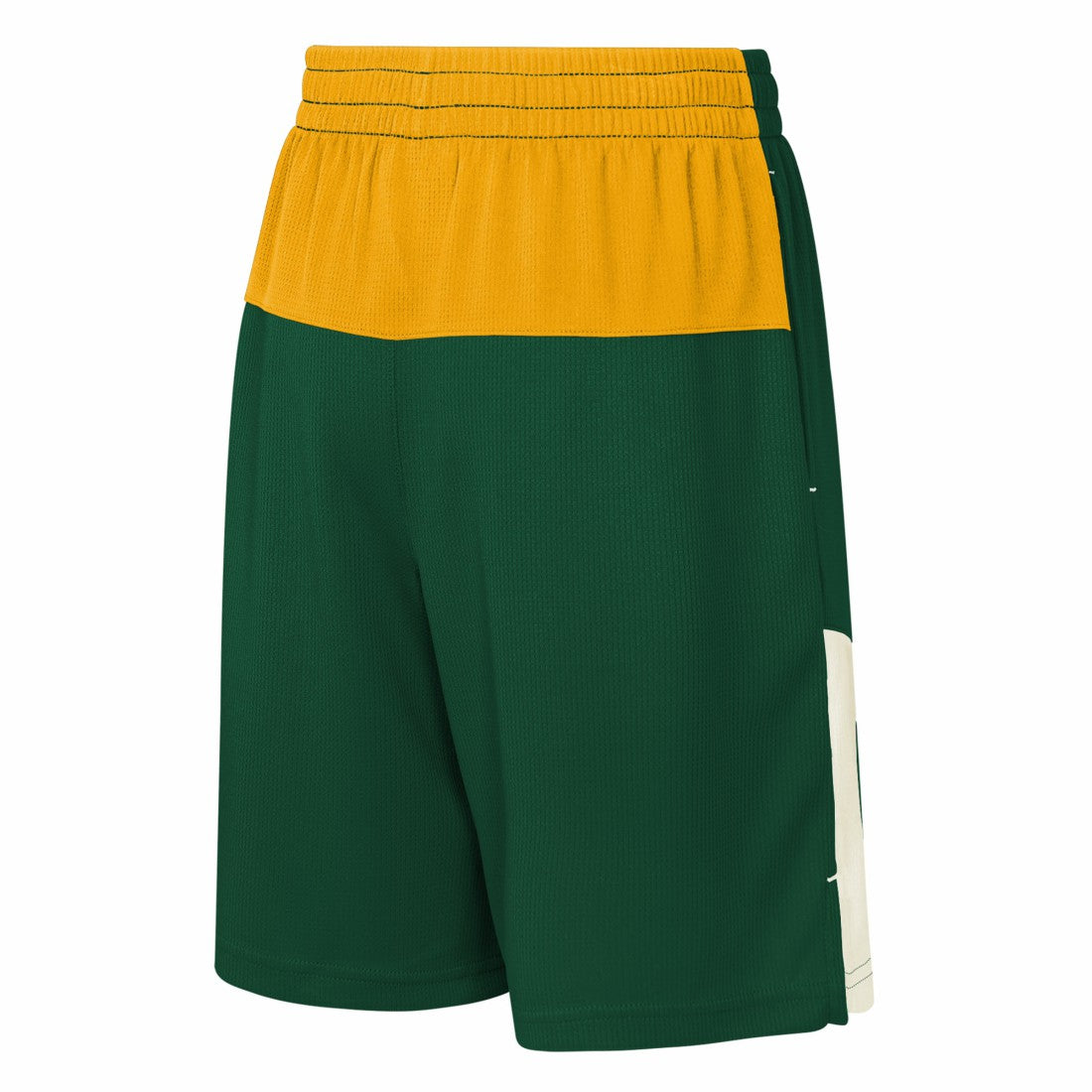 NFL Green Bay Packers Youth Fandemonium Mesh Shorts