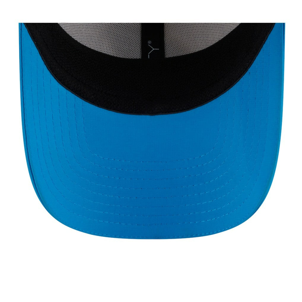 NFL Carolina Panthers 2025 NFL Training Camp 39THIRTY Flex Hat