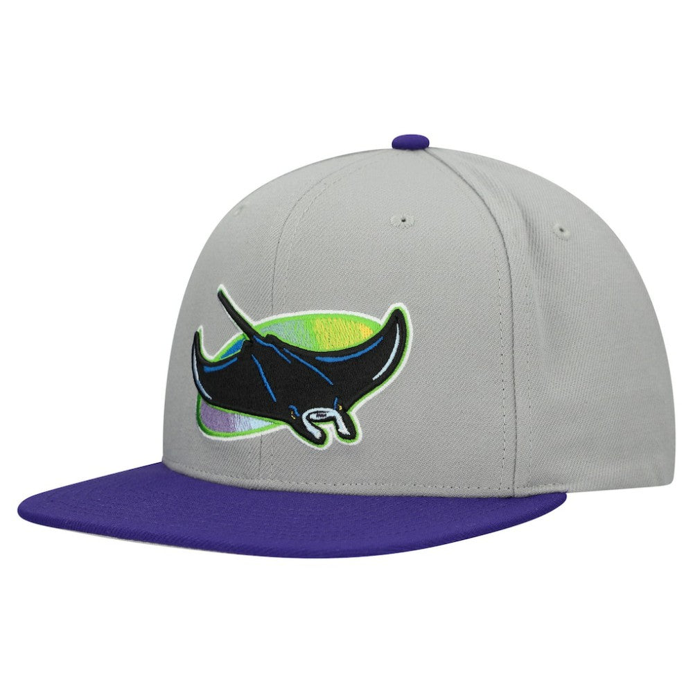 Tampa Bay Rays Cooperstown Collection Basic Flip Snapback Hat - Gray | Mitchell & Ness