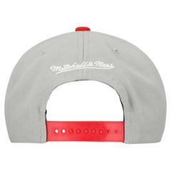Boston Red Sox Cooperstown Collection Basic Flip Snapback Hat - Gray | Mitchell & Ness