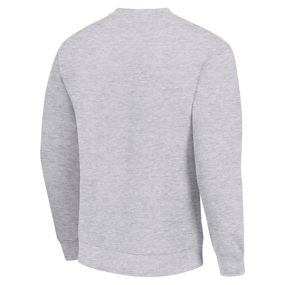 Detroit Red Wings Men's Starter Team Logo Fleece Pullover Sweatshirt