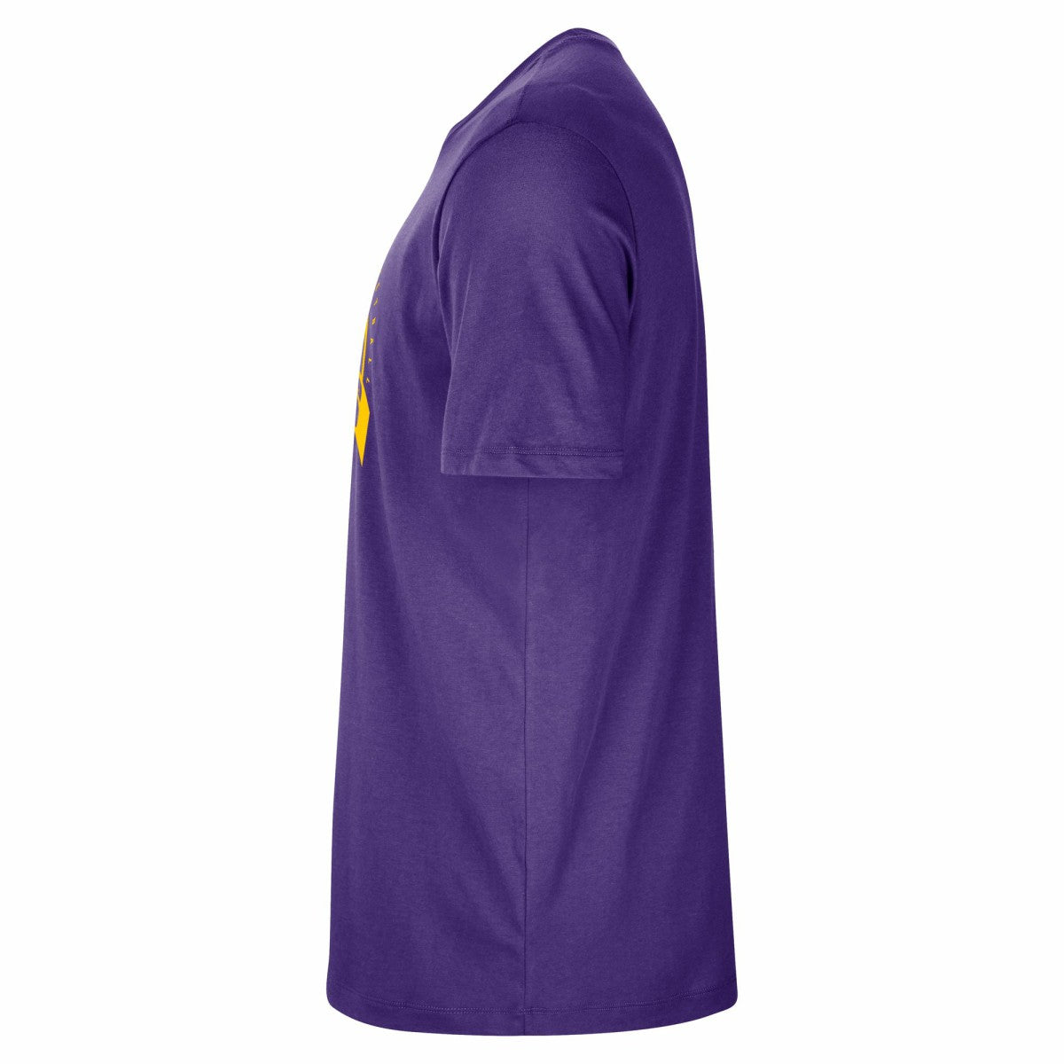 Los Angeles Lakers Authentic Practice T-Shirt - Purple | Nike discount
