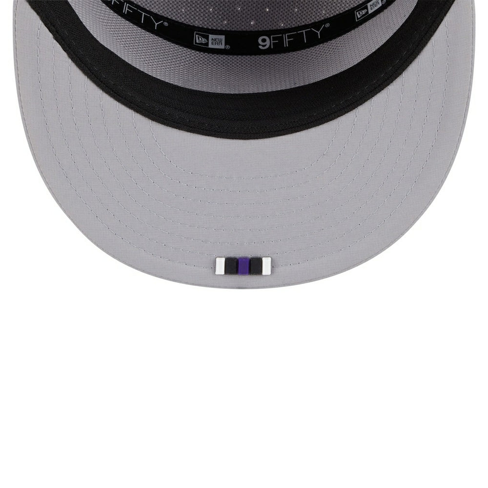 NFL Baltimore Ravens 2025 Sideline Split Panel 9FIFTY Snapback Hat