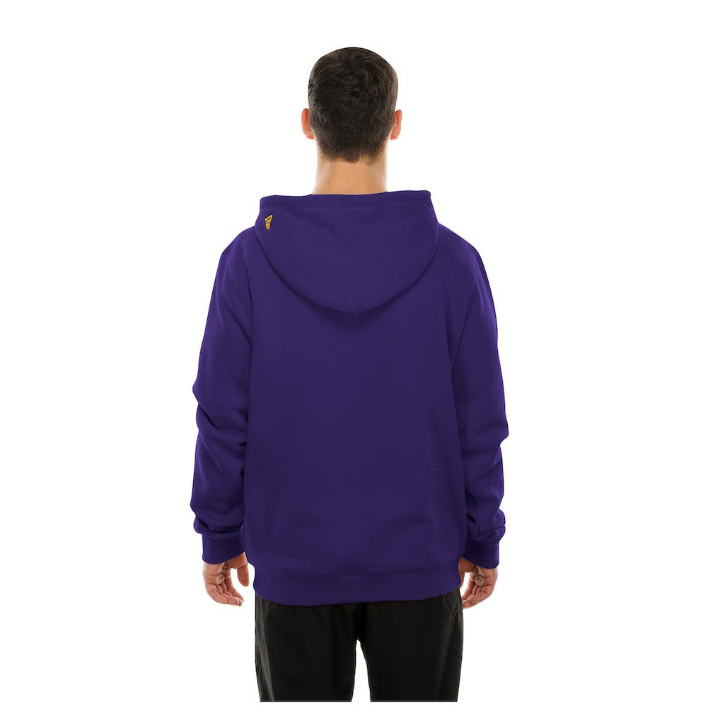 NFL Minnesota Vikings Combine Authentic Local State Throwback Hoodie