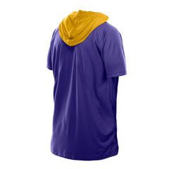 NFL Minnesota Vikings Combine Authentic Hooded Raglan Short-Sleeve T-Shirt