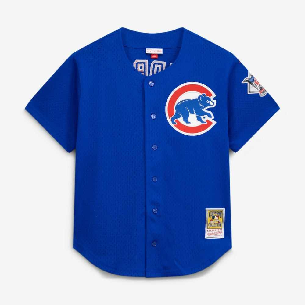 Ryne Sandberg Chicago Cubs Cooperstown Collection 1997 Mesh Batting Practice Button-Up Jersey - Royal | Mitchell & Ness