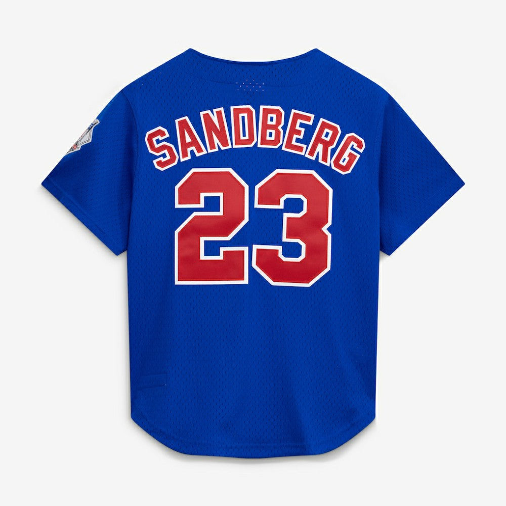 Ryne Sandberg Chicago Cubs Cooperstown Collection 1997 Mesh Batting Practice Button-Up Jersey - Royal | Mitchell & Ness