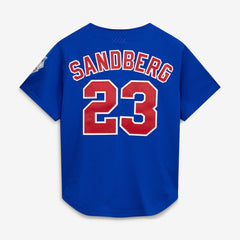 Ryne Sandberg Chicago Cubs Cooperstown Collection 1997 Mesh Batting Practice Button-Up Jersey - Royal | Mitchell & Ness