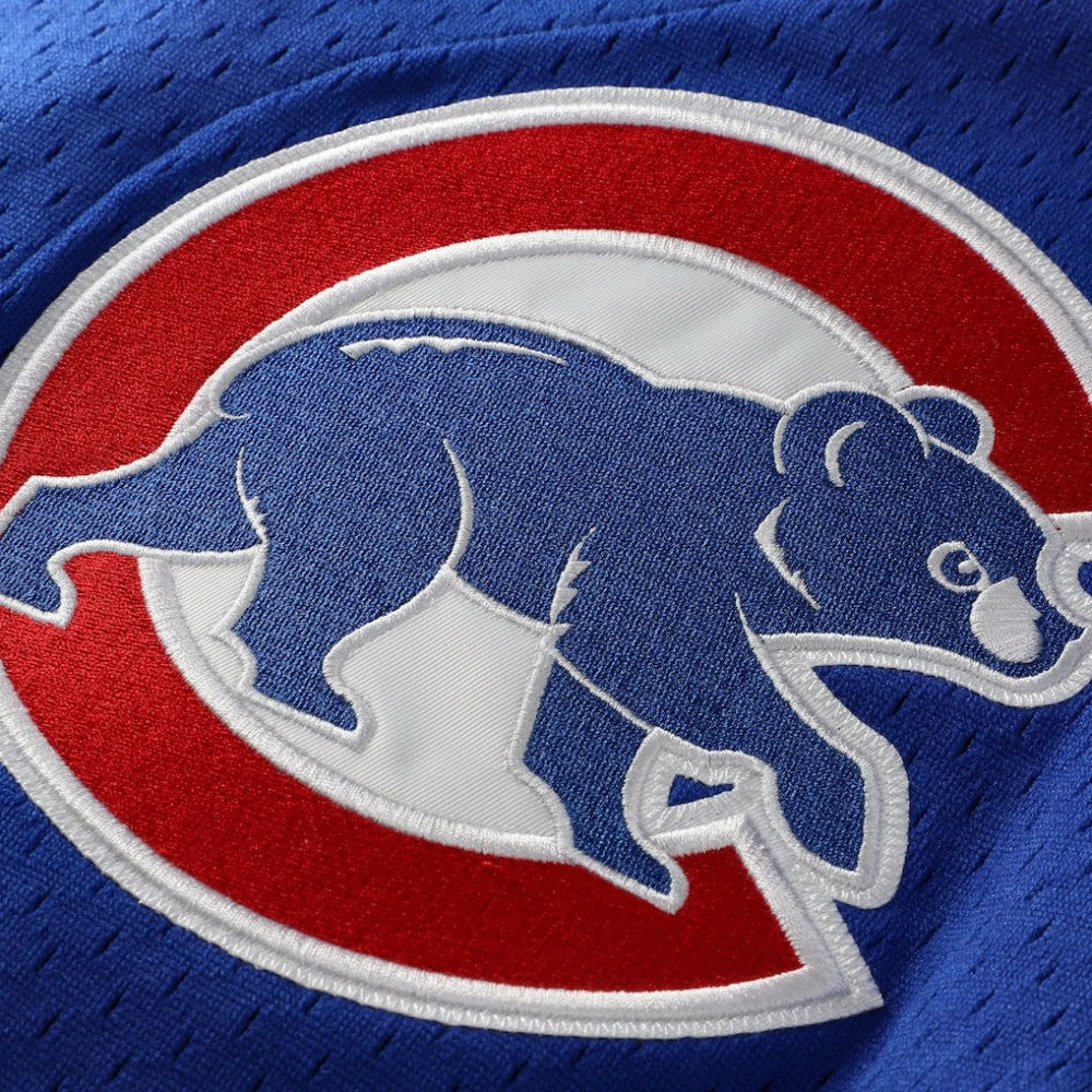 Ryne Sandberg Chicago Cubs Cooperstown Collection 1997 Mesh Batting Practice Button-Up Jersey - Royal | Mitchell & Ness