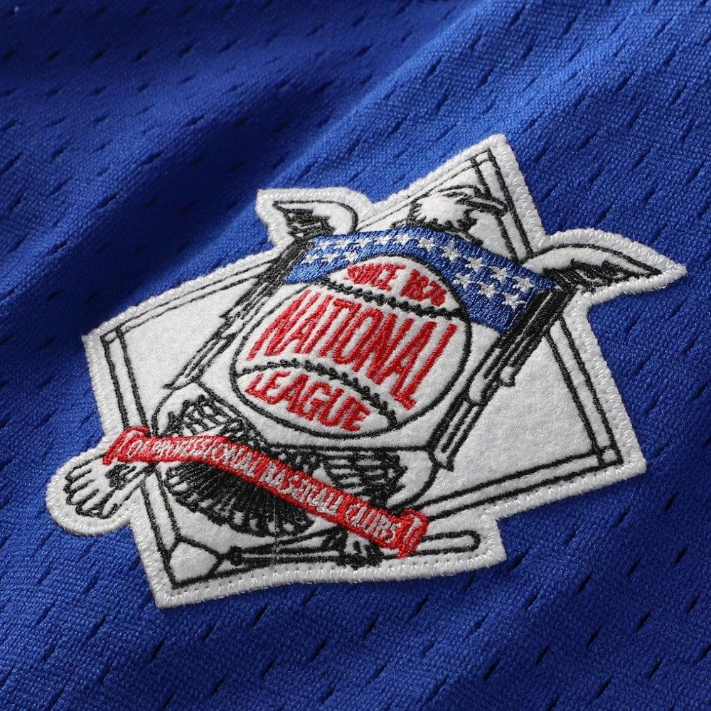 Ryne Sandberg Chicago Cubs Cooperstown Collection 1997 Mesh Batting Practice Button-Up Jersey - Royal | Mitchell & Ness