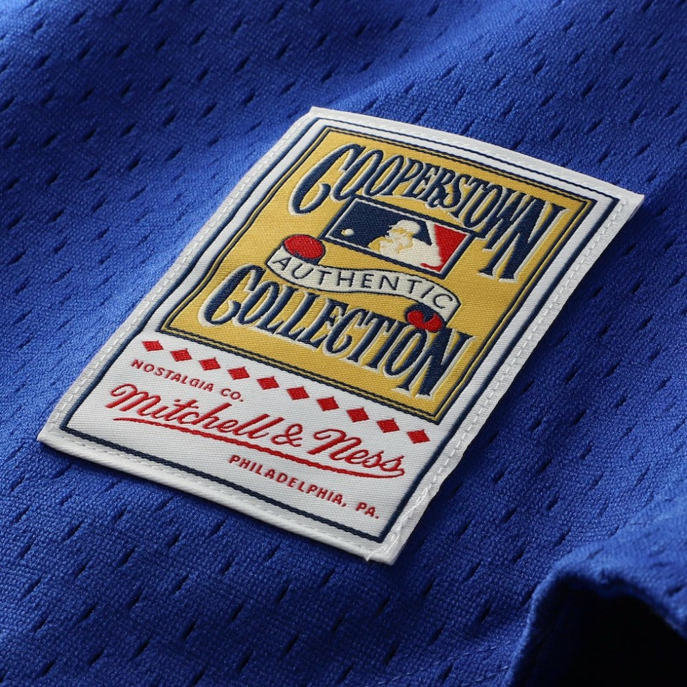 Ryne Sandberg Chicago Cubs Cooperstown Collection 1997 Mesh Batting Practice Button-Up Jersey - Royal | Mitchell & Ness