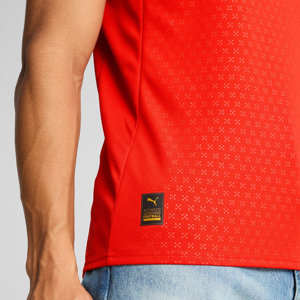 Portugal National Team 2025 Home Replica Jersey / Soccer Online