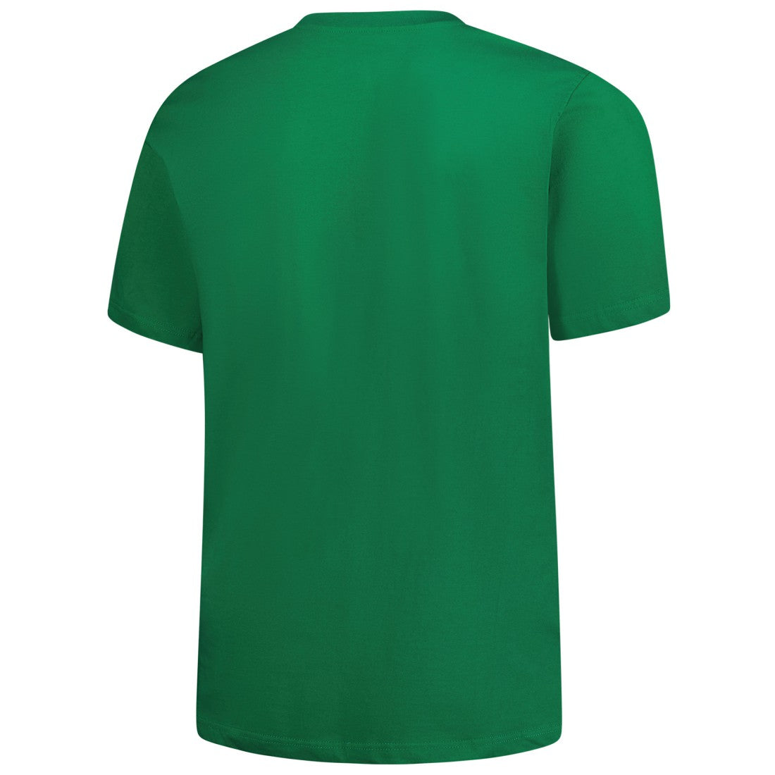 NFL Detroit Lions Big & Tall Celtic T-Shirt