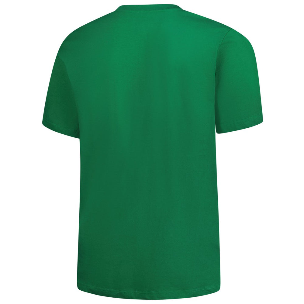 NFL Detroit Lions Big & Tall Celtic T-Shirt