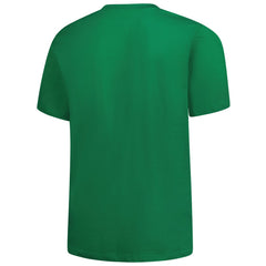 NFL Detroit Lions Big & Tall Celtic T-Shirt