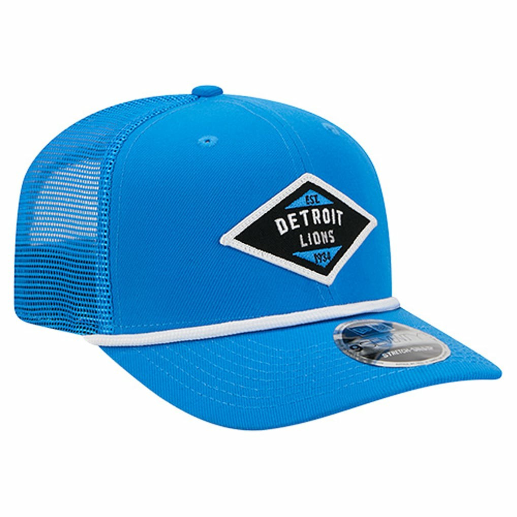 NFL Detroit Lions Team 9SEVENTY Adjustable Hat