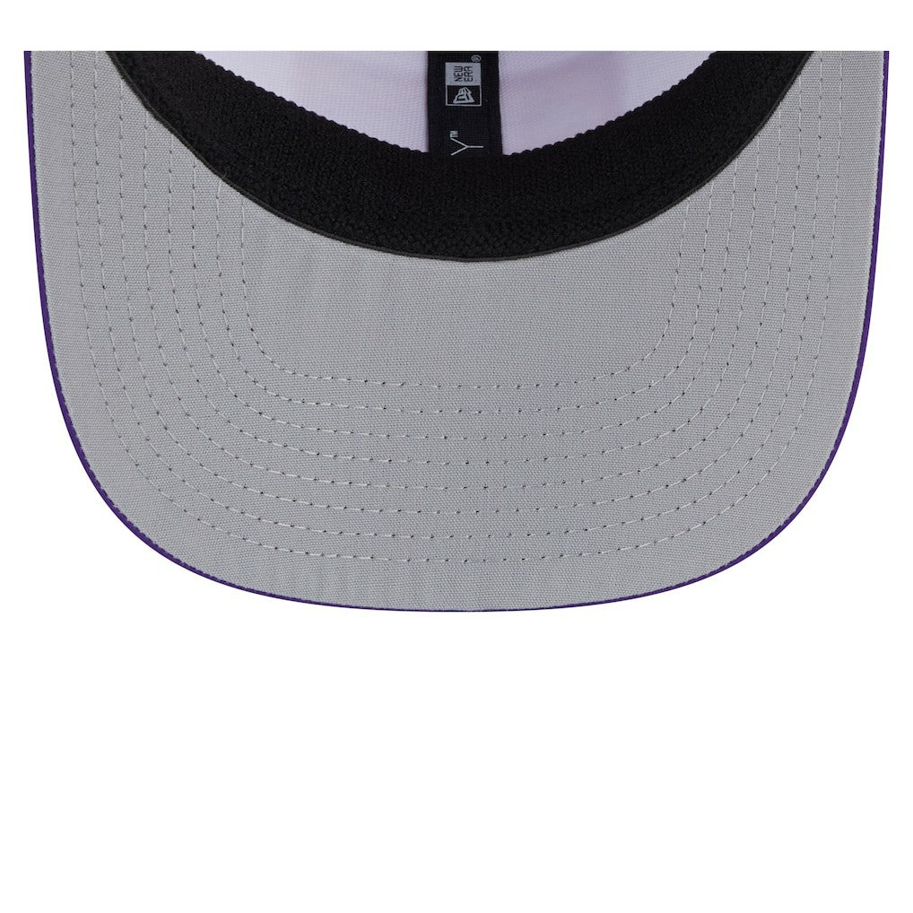 NFL Minnesota Vikings Established Patch 9SEVENTY Adjustable Hat