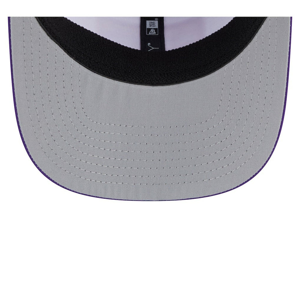 NFL Minnesota Vikings Established Patch 9SEVENTY Adjustable Hat