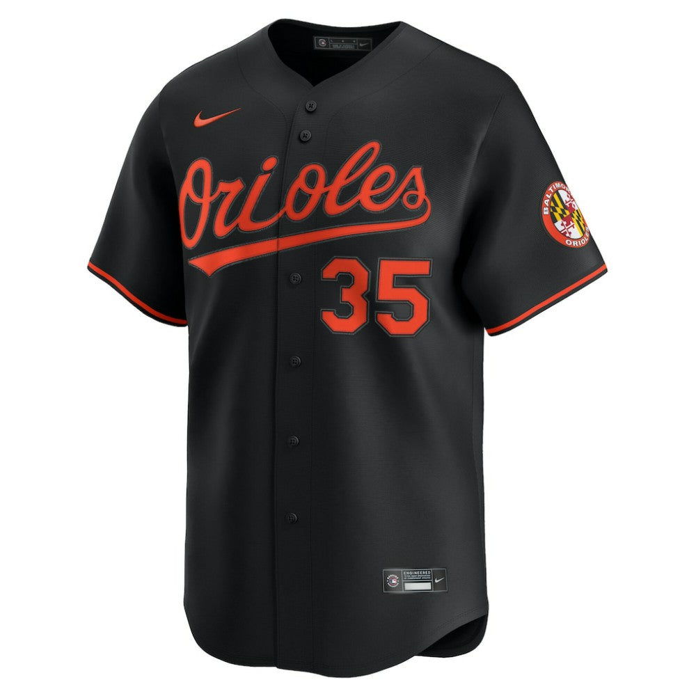 Adley Rutschman Baltimore Orioles Alternate Limited Player Jersey - Black | Nike