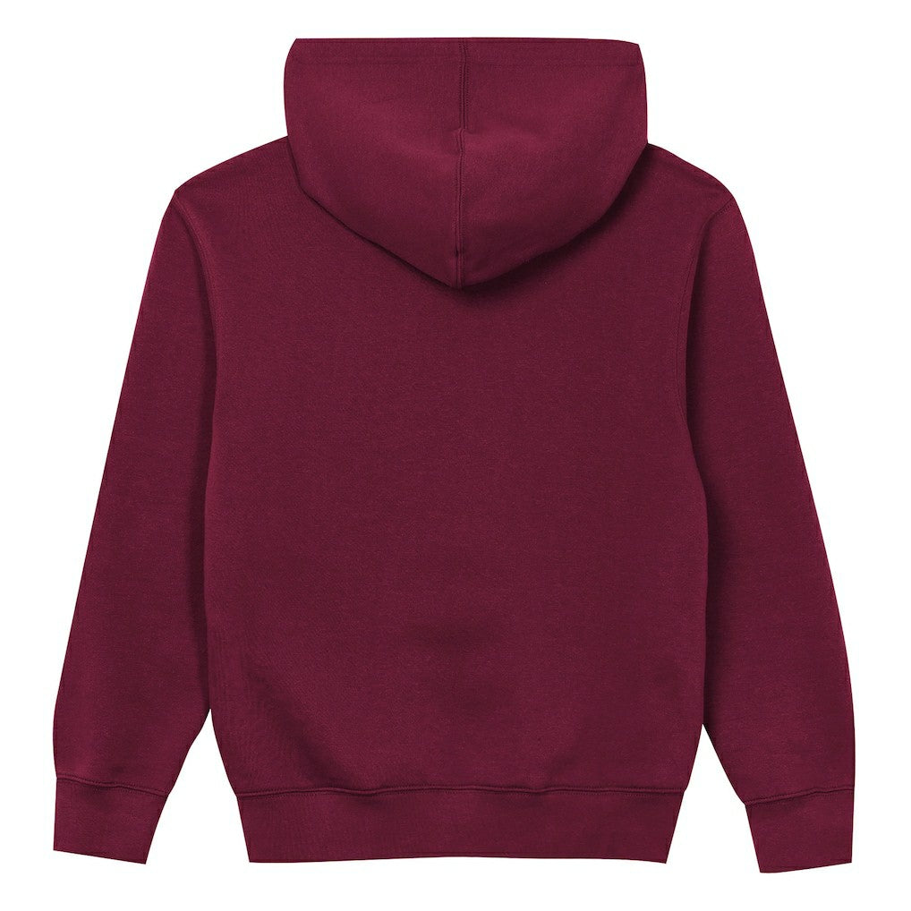 NFL Washington Commanders Outerstuff Preschool Back to Basics Hoodie