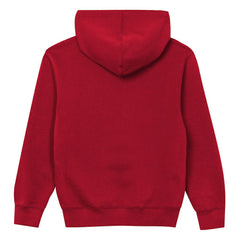 NFL Atlanta Falcons Outerstuff Preschool Back to Basics Hoodie