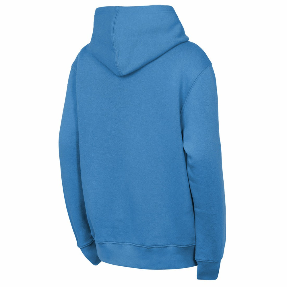 NFL Tennessee Titans Outerstuff Youth Back to Basics Hoodie