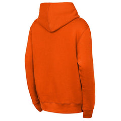 NFL Denver Broncos Outerstuff Youth Back to Basics Hoodie