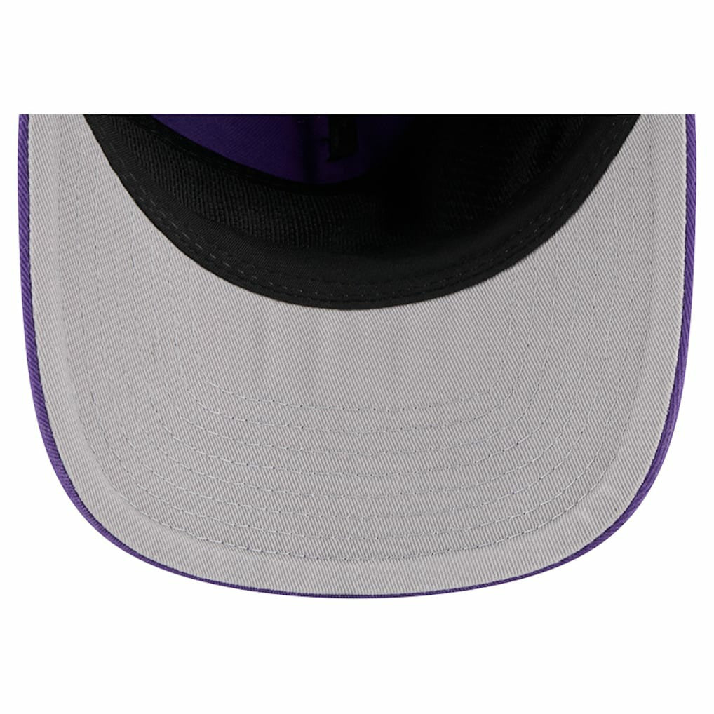 NFL Minnesota Vikings Team 19TWENTY Adjustable Hat
