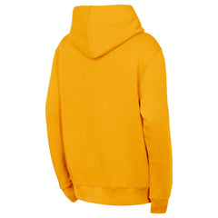 Nashville Predators Outerstuff Youth Back to Basics Hoodie