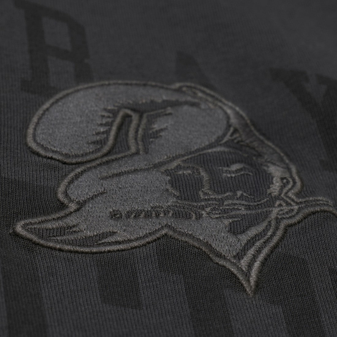 NFL Tampa Bay Buccaneers Downtown Collection Premium Vintage Logo T-Shirt