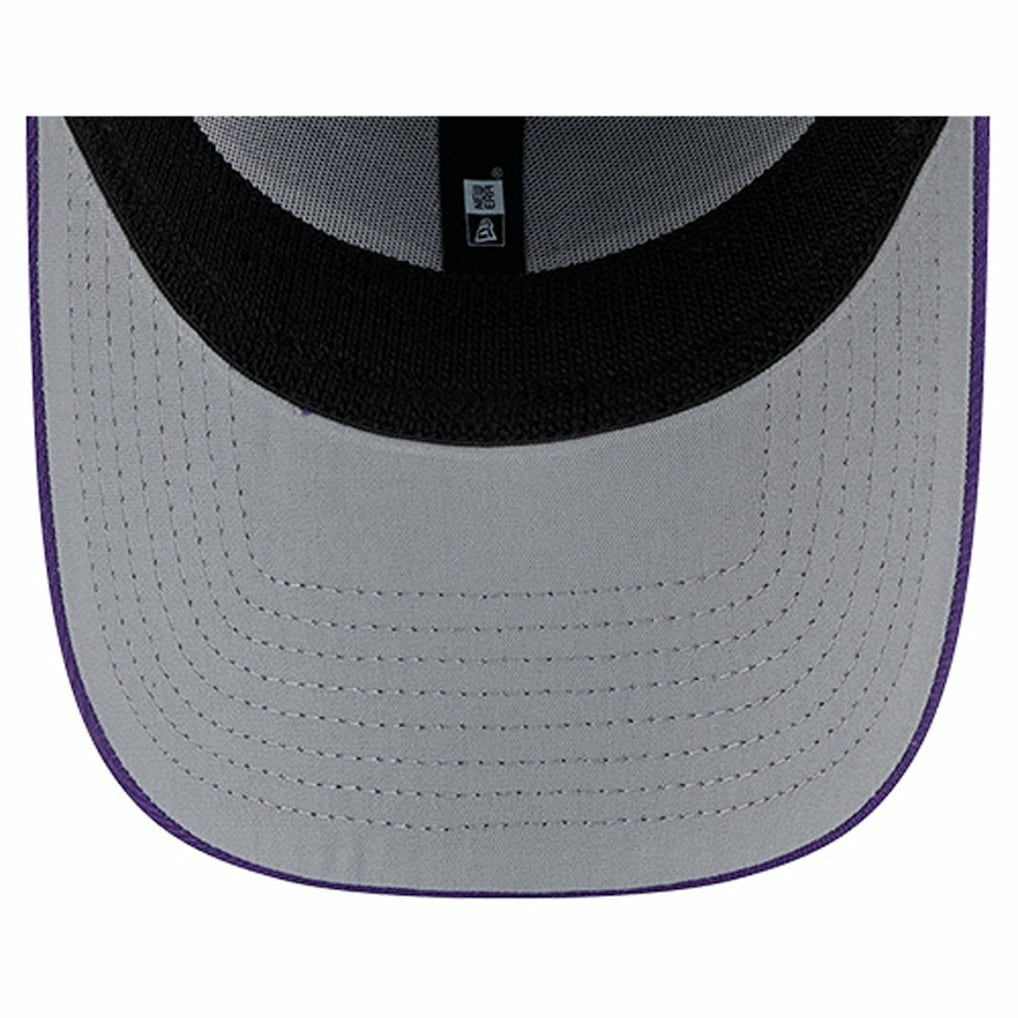 NFL Minnesota Vikings Stripes 39THIRTY Flex Hat