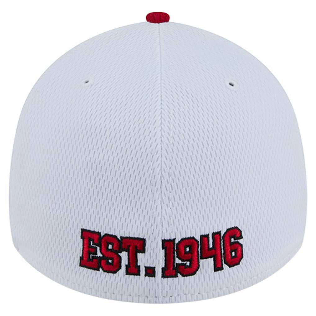 NFL San Francisco 49ers Dashmark Rays 39THIRTY Flex Hat