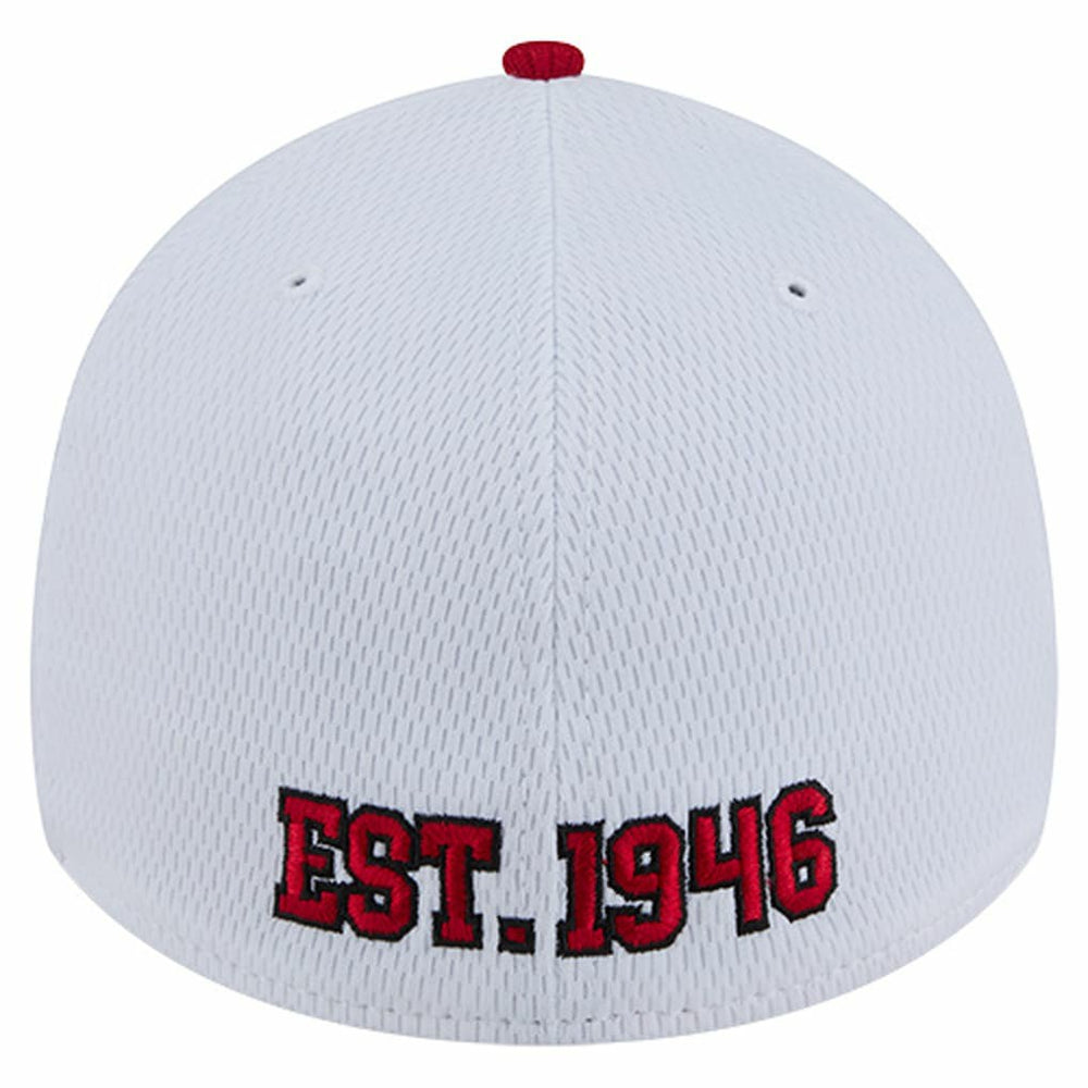 NFL San Francisco 49ers Dashmark Rays 39THIRTY Flex Hat