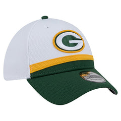 NFL Green Bay Packers Dashmark Rays 39THIRTY Flex Hat
