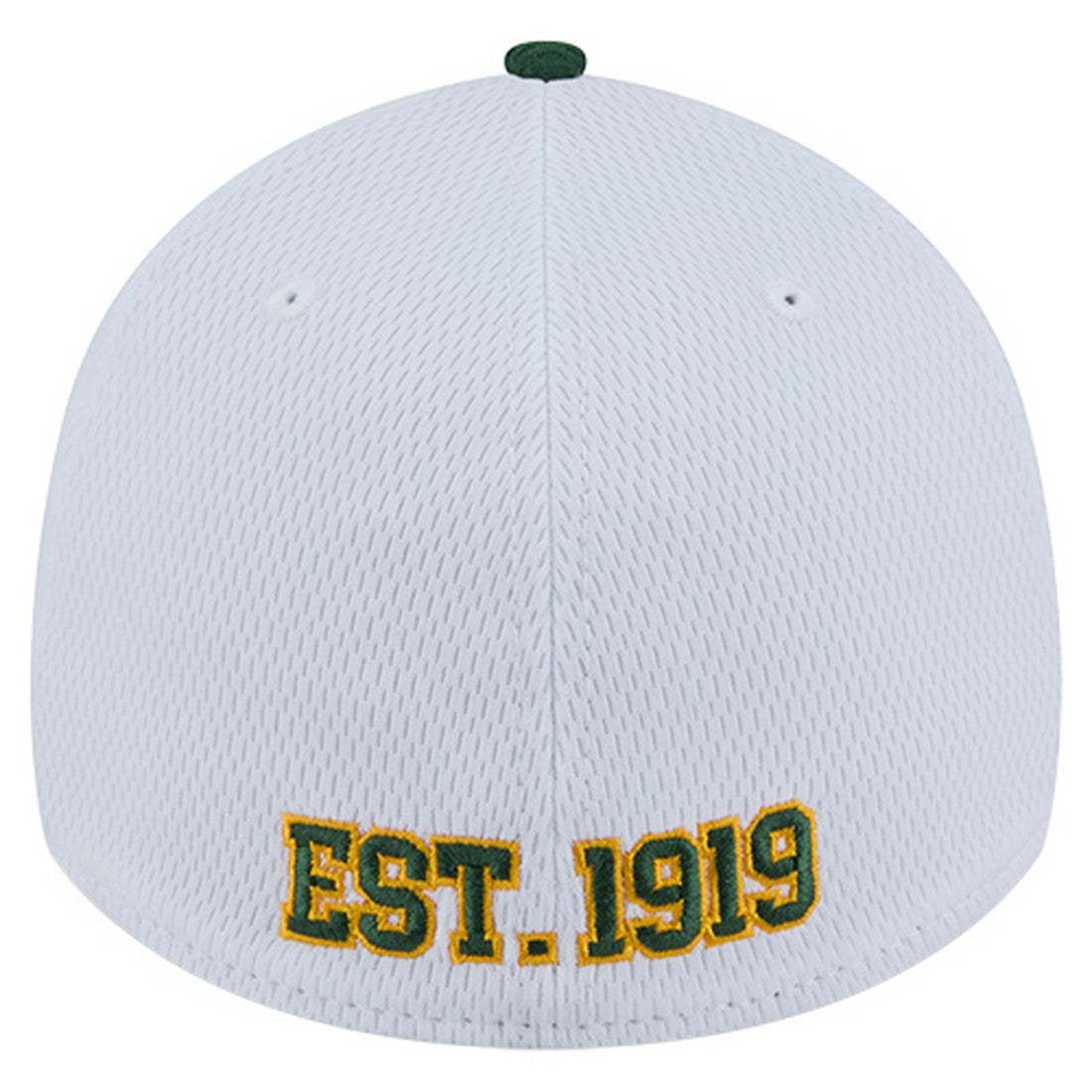 NFL Green Bay Packers Dashmark Rays 39THIRTY Flex Hat