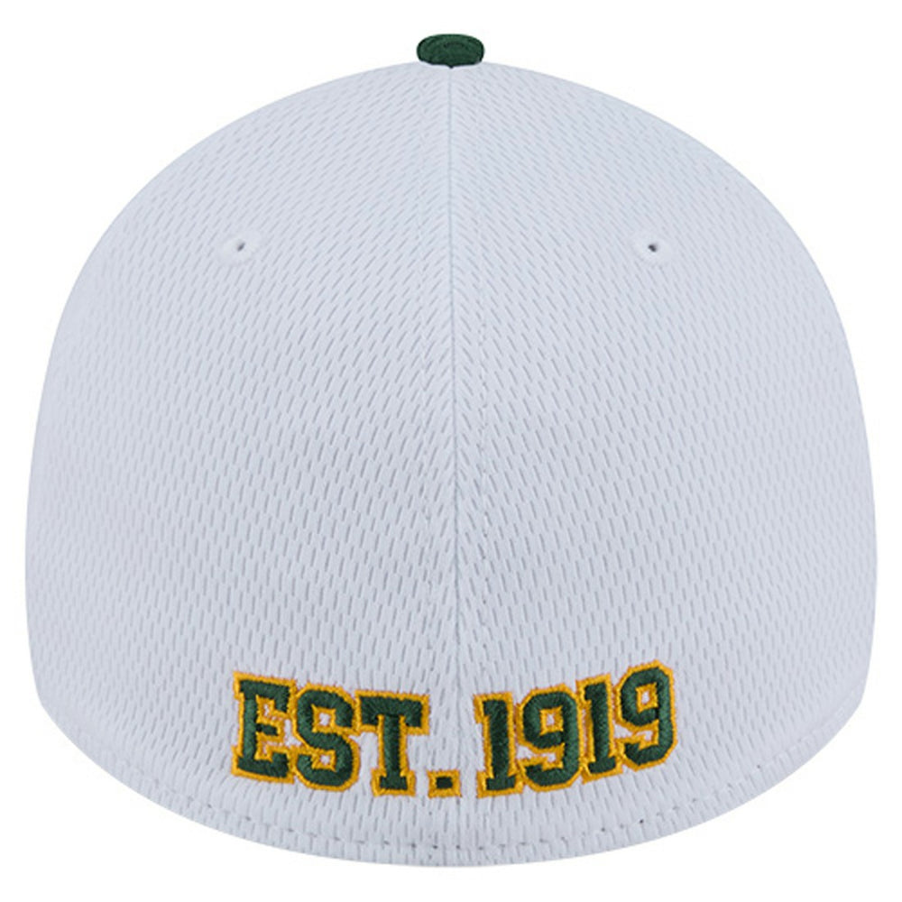 NFL Green Bay Packers Dashmark Rays 39THIRTY Flex Hat