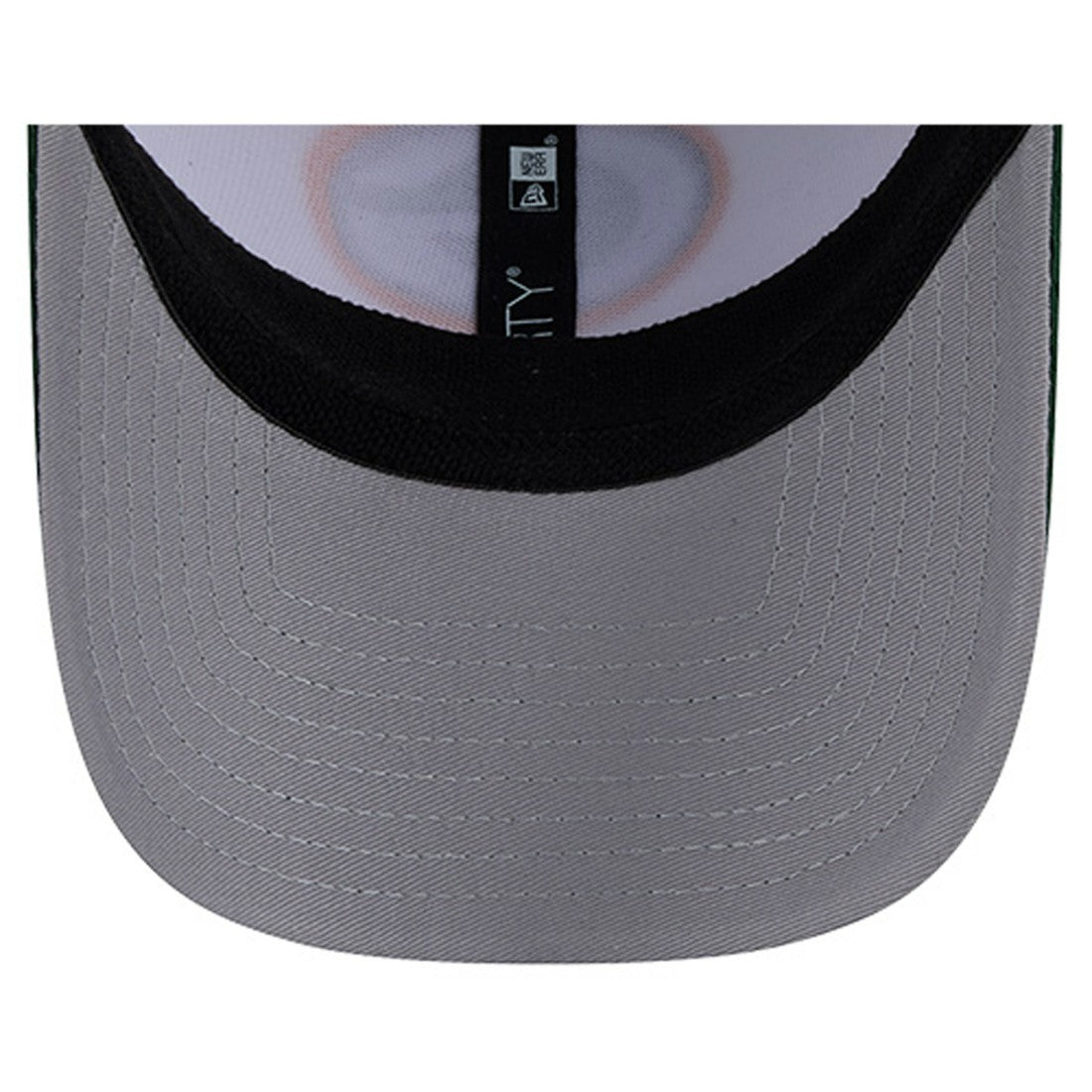NFL Green Bay Packers Dashmark Rays 39THIRTY Flex Hat