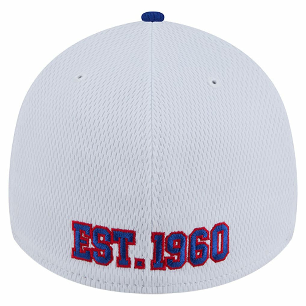 NFL Buffalo Bills Dashmark Rays 39THIRTY Flex Hat