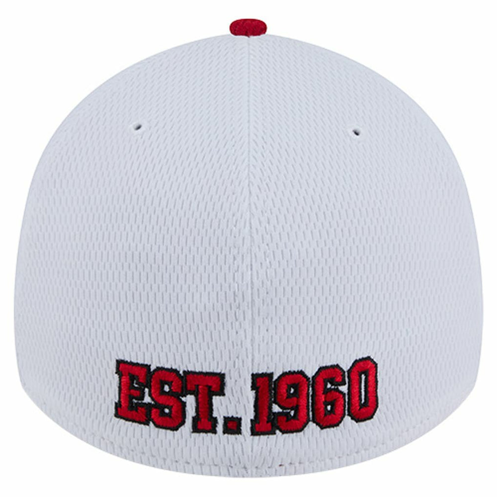 NFL Kansas City Chiefs Dashmark Rays 39THIRTY Flex Hat