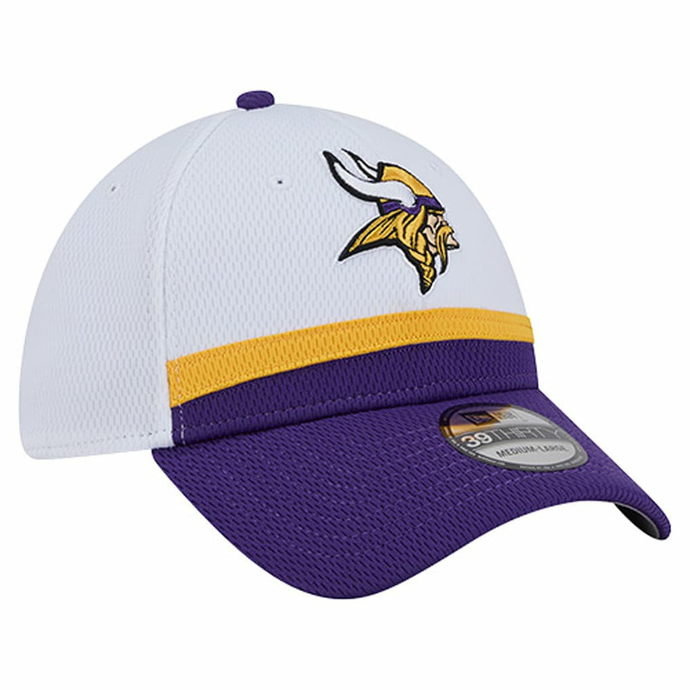 NFL Minnesota Vikings Dashmark Rays 39THIRTY Flex Hat
