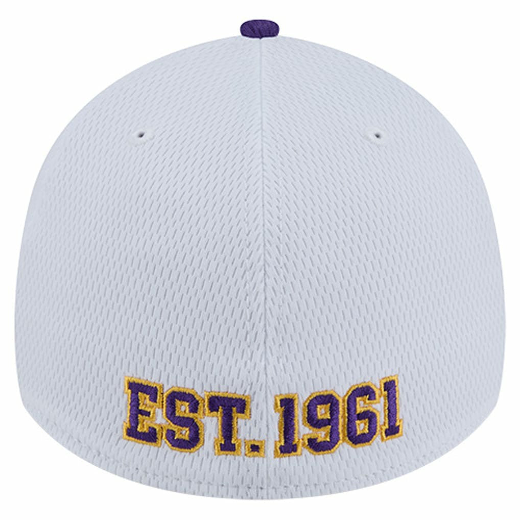 NFL Minnesota Vikings Dashmark Rays 39THIRTY Flex Hat