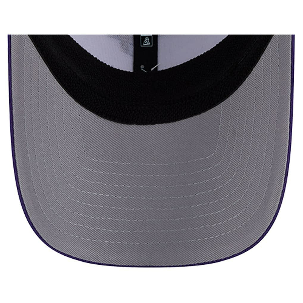 NFL Minnesota Vikings Dashmark Rays 39THIRTY Flex Hat