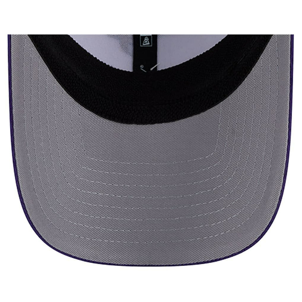 NFL Minnesota Vikings Dashmark Rays 39THIRTY Flex Hat