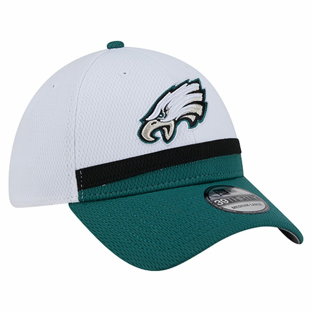 NFL Philadelphia Eagles Dashmark Rays 39THIRTY Flex Hat