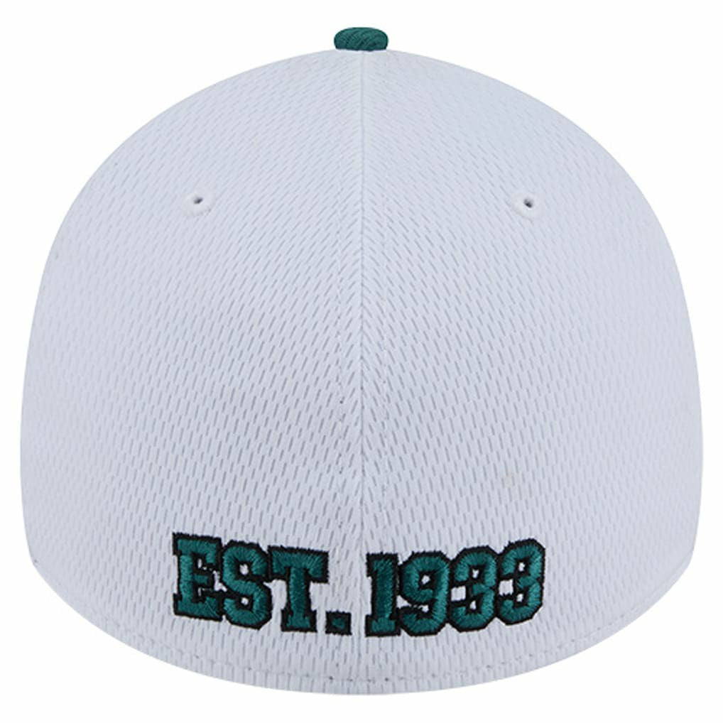 NFL Philadelphia Eagles Dashmark Rays 39THIRTY Flex Hat
